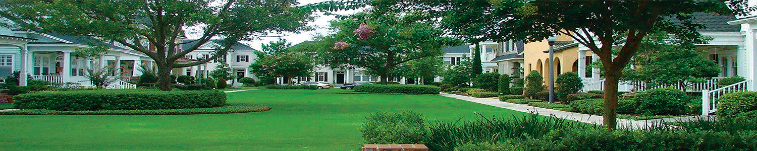 Serene residential neighborhood with manicured lawn and upscale homes